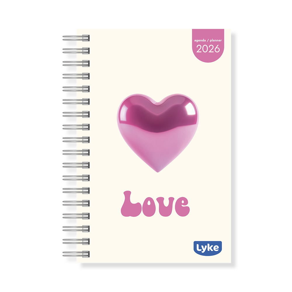 Agenda / Planner 11x15,2 cm - 16 capas - FEM - caixa c/ 32 unidades (sortidas)