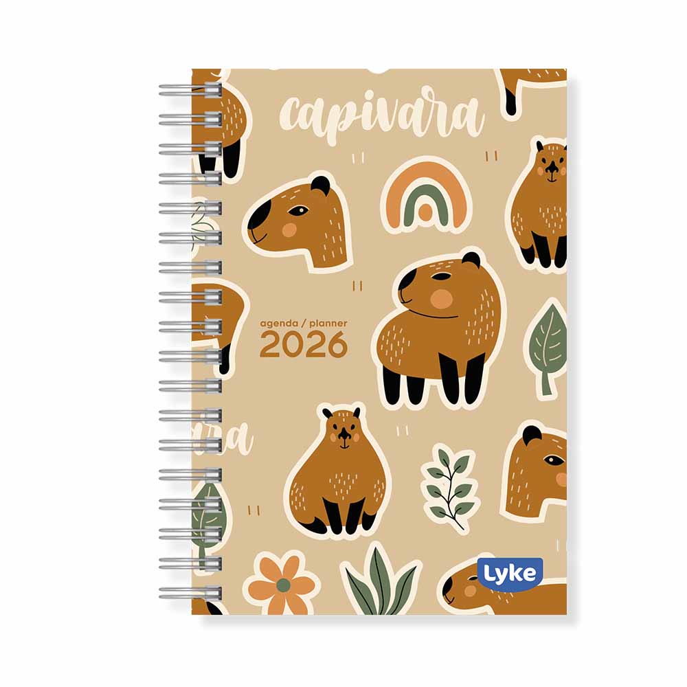 Agenda / Planner 11x15,2 cm - 16 capas - FEM - caixa c/ 32 unidades (sortidas)