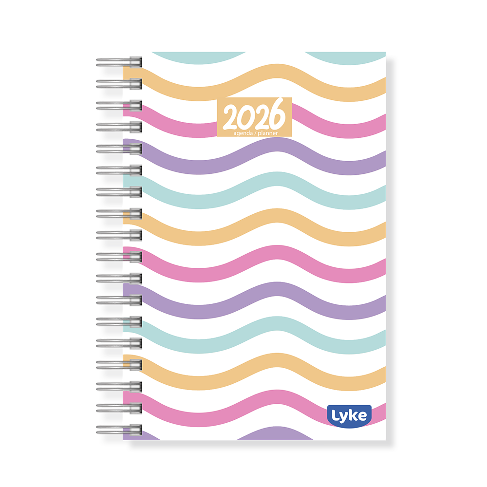 Agenda / Planner 11x15,2 cm - 16 capas - FEM - caixa c/ 32 unidades (sortidas)