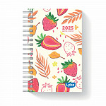 Agenda / Planner 11x15,2 cm - 16 capas - FEM - caixa c/ 32 unidades (sortidas)