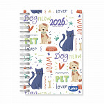 Agenda / Planner 11x15,2 cm - 16 capas - FEM - caixa c/ 32 unidades (sortidas)