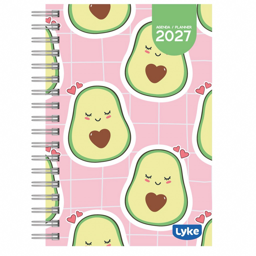 Agenda / Planner Anual 15x21 cm - 16 capas - FEM - caixa c/ 32 unidades (sortidas)