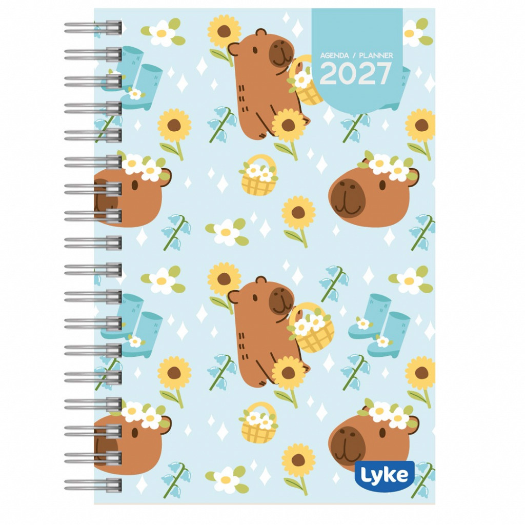 Agenda / Planner Anual 15x21 cm - 16 capas - FEM - caixa c/ 32 unidades (sortidas)