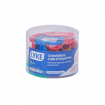 TAG PARA CHAVES - 22X2X50MM - POTE C/ 50