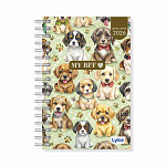 Agenda / Planner 11x15,2 cm - 16 capas - FEM - caixa c/ 32 unidades (sortidas)